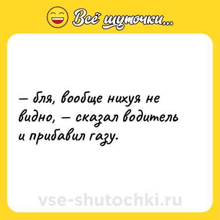 Шутка: — бля, вообще нихуя не видно, — сказал водитель и прибавил газу.