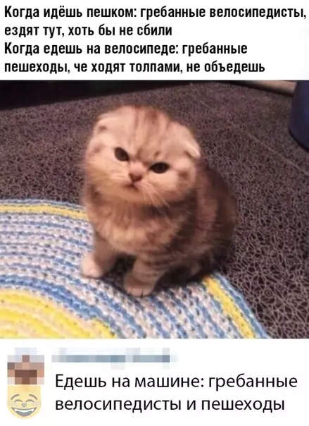 Смешная картинка №366741 #приколы #картинки #мемы ?