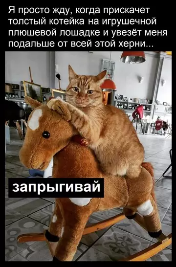 Смешная картинка №761390