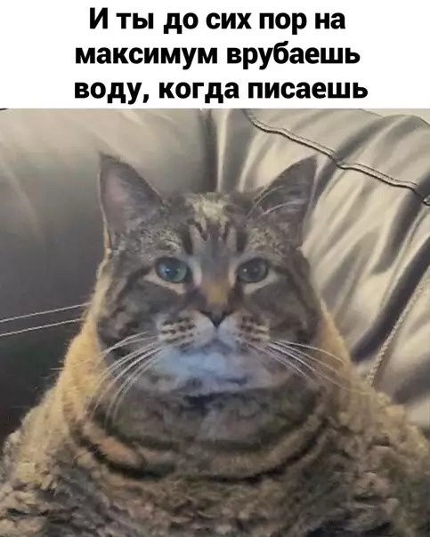 продолжение Смешная картинка №559530 Coвмecтнaя жизнь