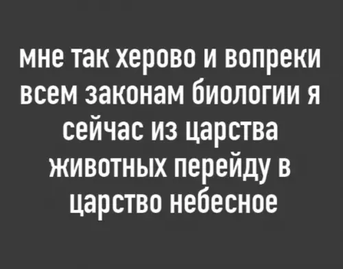 Смешная картинка №444963 Текущее состояние:
