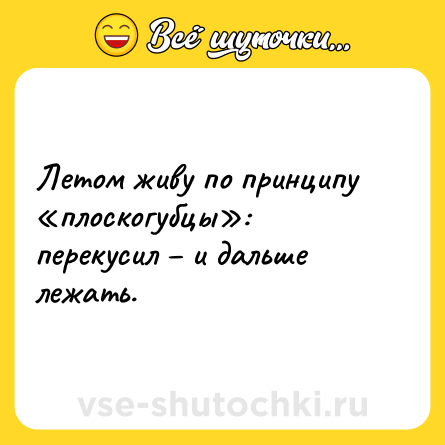 Шутка: Летом живу по принципу «плоскогубцы»: перекусил – и дальше лежать.