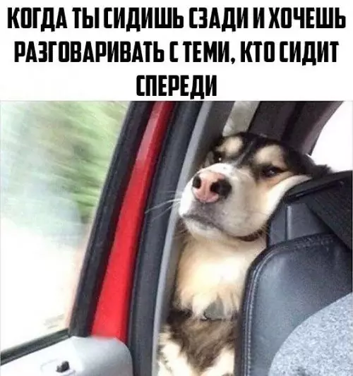 Смешная картинка №302510