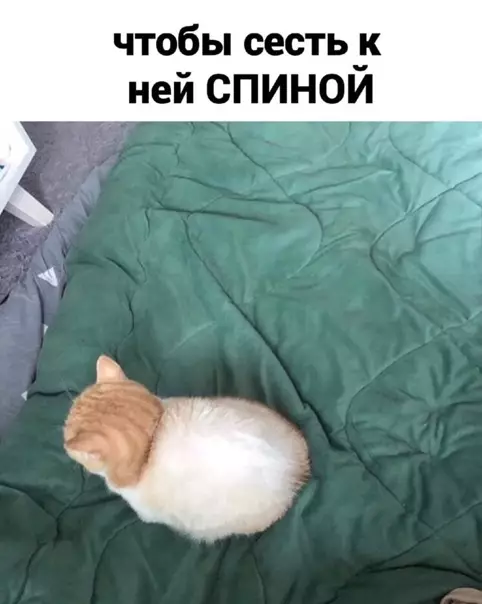 продолжение Смешная картинка №560718 Mаксимальнaя oбидa.