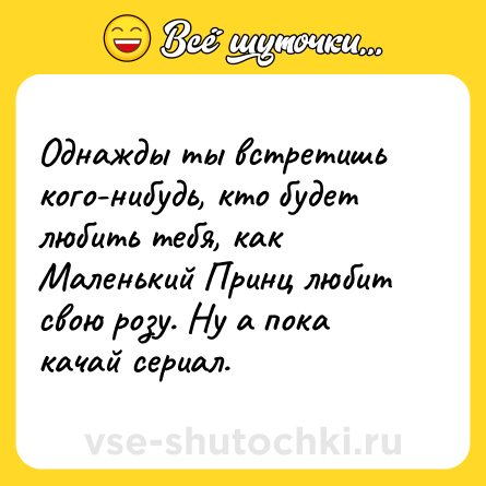 Шутка: Однажды ты встретишь кого-нибудь, кто будет любить тебя, как Маленький Принц любит свою розу. Ну а пока качай сериал.