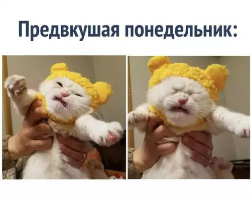 Смешная картинка №268921