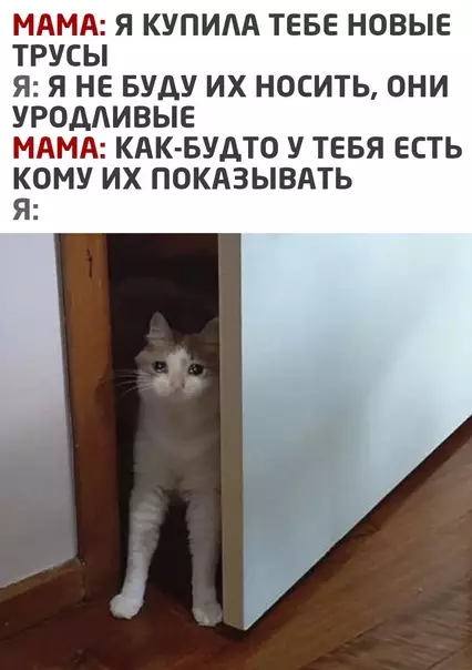 Смешная картинка №554599