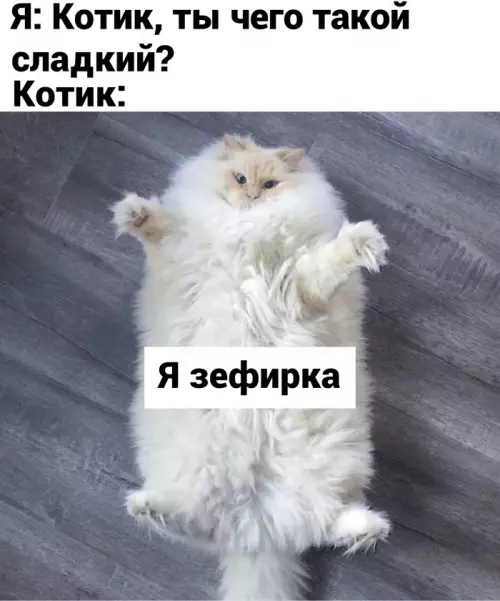 Смешная картинка №633459