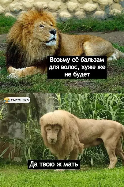 Смешная картинка №702422