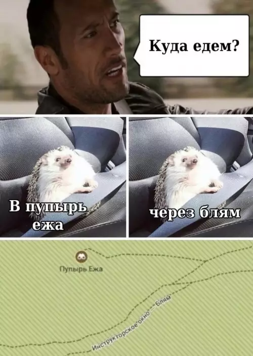 Смешная картинка №687887 Такого маршрута я точно не ожидал ,ну ладно