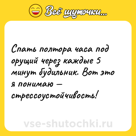 Шутка: Спать полтора часа под орущий через каждые 5 минут будильник. Вот это я понимаю — стрессоустойчивость!
