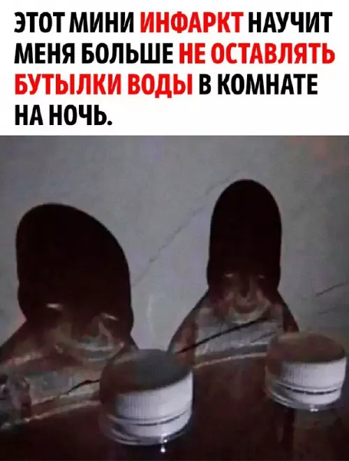 Смешная картинка №712059 Мы за тобой 