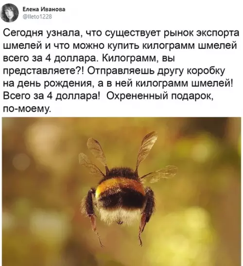 Смешная картинка №507738 вброс адреналина гарантирован