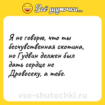 Шутка: Я не говорю, что ты бесчувственная скотина, но Гудвин должен был дать сердце не Дровосеку, а тебе.