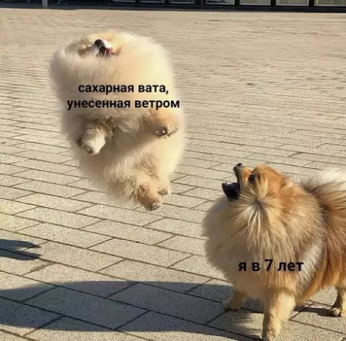 Смешная картинка №706895