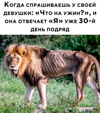 Смешная картинка №685491