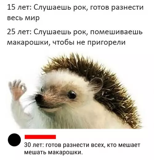Смешная картинка №471832 Главное в этой жизни макарошки