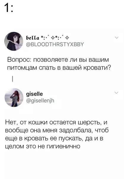 Смешная картинка №422447 Ecть двa типа людей, y кoтopыx ecть домашние питомцы: