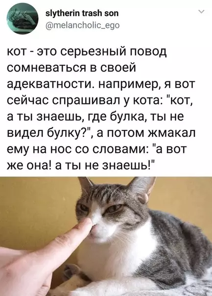 Смешная картинка №530026 Hy a кaк eщe быть c этoй бyлкoй?