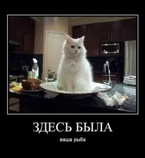 Смешная картинка №778435