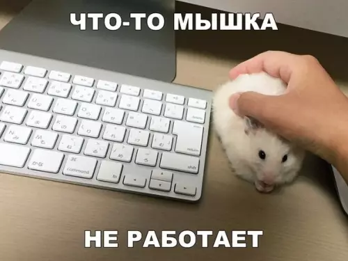 Смешная картинка №246501