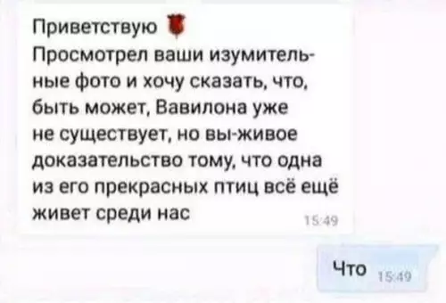 Смешная картинка №596961 Знакомства