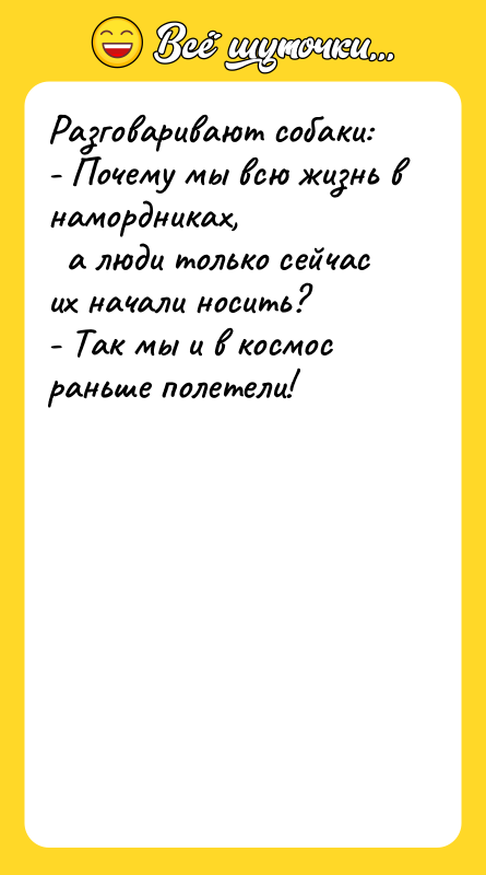 Разговаривают собаки: - Почему мы всю жизнь в намордниках,