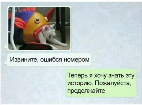 Смешная картинка №252277 переписка