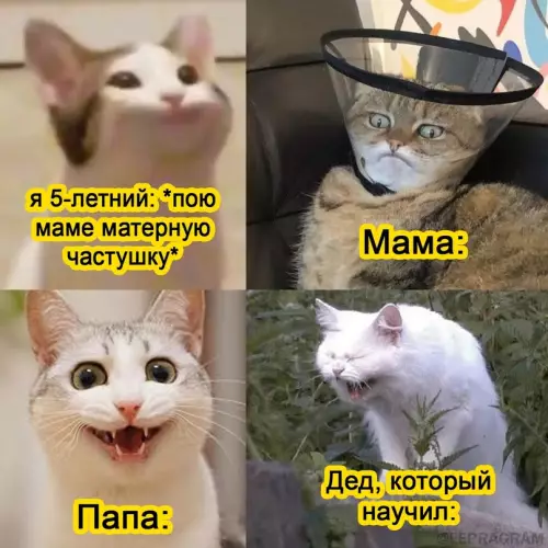 Смешная картинка №672086