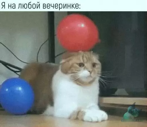 Смешная картинка №314385 В точку