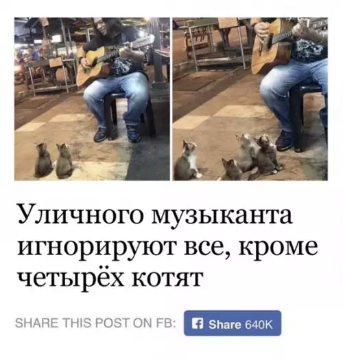 Смешная картинка №388366 Вполне достойная публика