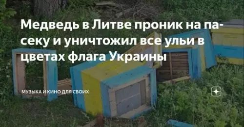 Смешная картинка №773786 Наша служба и опасна, и трудна