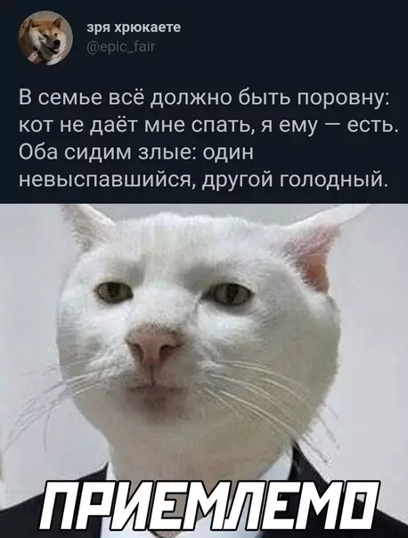 Смешная картинка №577856