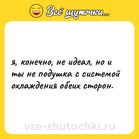 Шутка: я, конечно, не идеал, но и ты не подушка с системой охлаждения обеих сторон.