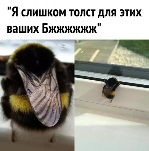 Смешная картинка №501828 ?