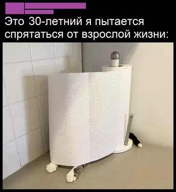 Смешная картинка №741433