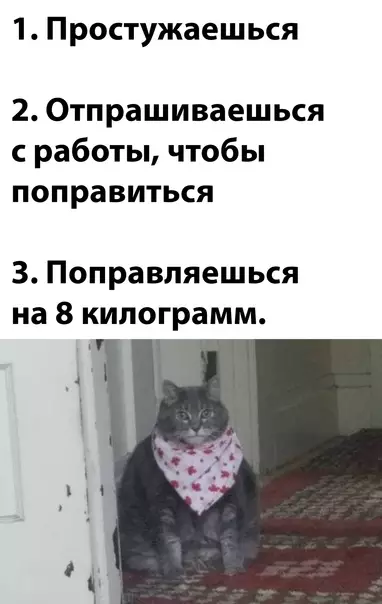 Смешная картинка №624585 работа
