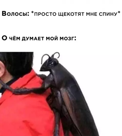 Смешная картинка №586881