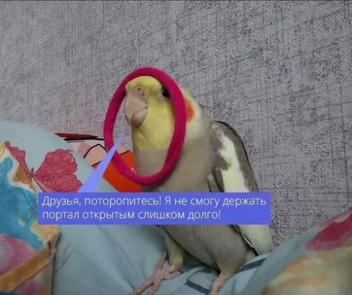 Смешная картинка №680963