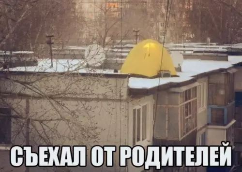 Смешная картинка №508399 Без мам, пап и кредитов
