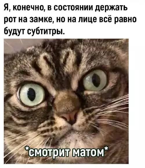 Смешная картинка №706946