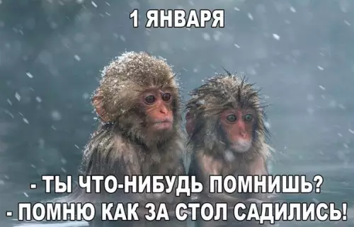 Смешная картинка №233317