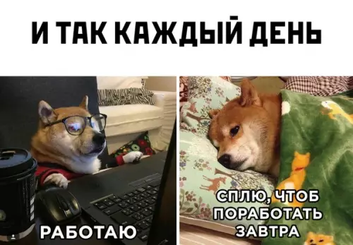 Смешная картинка №512534