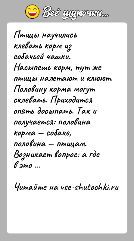 История: Птицы научились клевать корм из собачьей чашки. Насыпешь корм, тут же птицы налетают и клюют. Половину корма могут склевать. Приходится