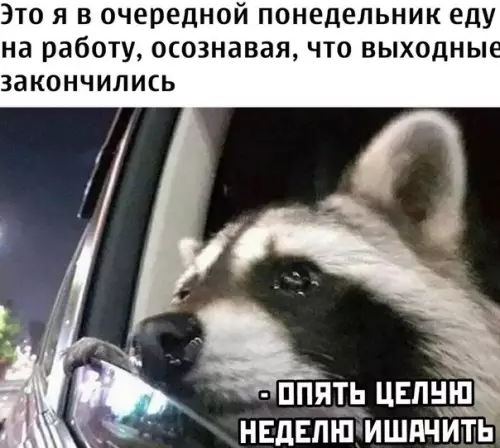 Смешная картинка №520471