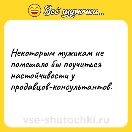 Шутка: Некоторым мужикам не помешало бы поучиться настойчивости у продавцов-консультантов.