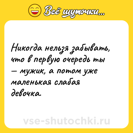 Шутка: Никогда нельзя забывать, что в первую очередь ты — мужик, а потом уже маленькая слабая девочка.
