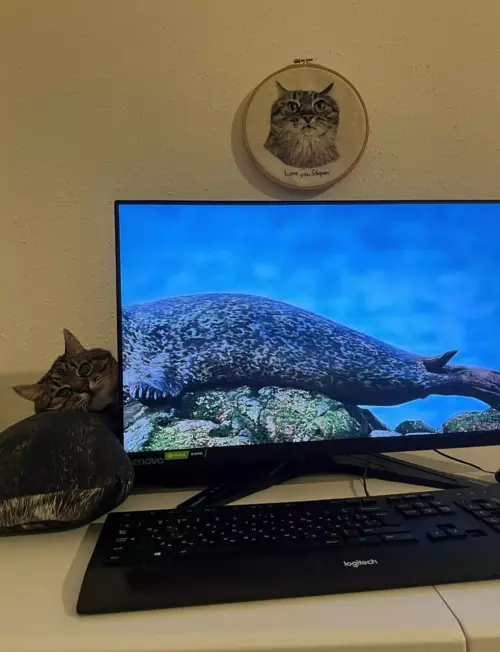 продолжение Смешная картинка №793406 Похож