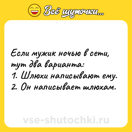 Шутка: Если мужик ночью в сети, тут два варианта: <br>1. Шлюхи написывают ему.<br>2. Он написывает шлюхам.