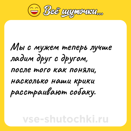 Шутка: Мы с мужем теперь лучше ладим друг с другом, после того как поняли, насколько наши крики расстраивают собаку.